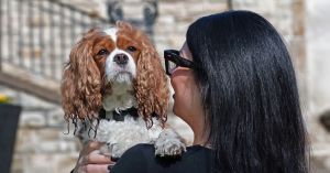 What Dog-Parent Guilt Can Teach Us About Human-Animal Bonds