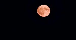 Stargazers enjoy ‘cartoon’ Strawberry Moon over Norfolk