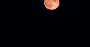 Stargazers enjoy ‘cartoon’ Strawberry Moon over Norfolk