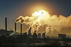 Climate crisis enters heart of global economy