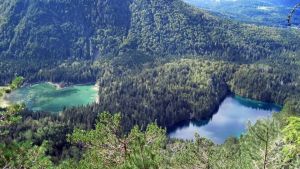 Due corpi in avanzato stato di decomposizione trovati ai laghi di Fusine: ipotesi incidente in montagna