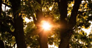 We Can (and Must) Find Meaning in Pain