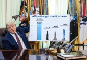 “Reflecting fool” o el reflejo del ego de Trump