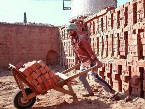 Catch 'em before they fall: India's new climate safety net