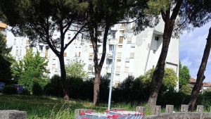 Carrelli abbandonati ad Avenza. Invase le vie vicine alla Coop. La protesta dei residenti