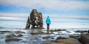 This strange novel riffs on The Tempest, swapping its teen girl for a menopausal marine biologist