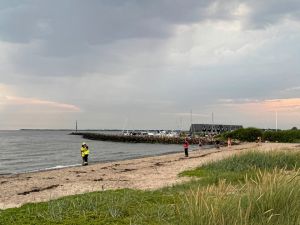 Først spottede en borger 'noget i vandet' og så blev badegæst syg