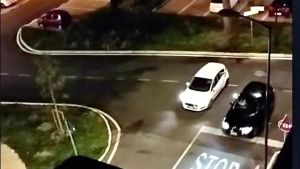 Corse clandestine in zona industriale a Ponte di Piave, il sindaco: «Denunciate»