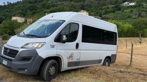 Finiscono nel fosso con il bus rubato ad Atc