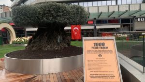 Yabancılaşma ve AVM Bahçesindeki Bin Yıllık Yaşam Üzerine