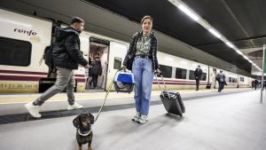 Los asturianos (aunque no todos) ya pueden viajar con descuentos de hasta el 90% en tren este verano