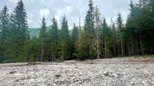 Corpi trovati a Fusine, la morte risalirebbe a una settimana fa