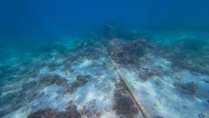 FCC Tightens Oversight of Undersea Cables