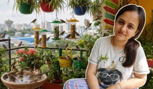 At 5 AM, 200 Birds Visit Her Noida Balcony. Here’s How She Made Them Feel Safe in a High-Rise Home