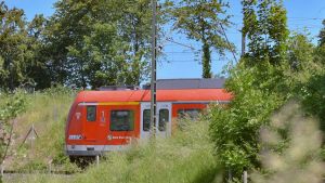 Verrückt