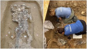 Spunta una necropoli principesca del VI secolo avanti Cristo: clamorosa scoperta nel Conero