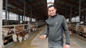 Dieser Landwirt duscht seine Rinder mit Stroh – dahinter steckt ein besonderes Tierwohl-Konzept