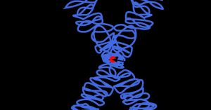 Chromosome 14: The Myth of a Single Gene for Hoarding