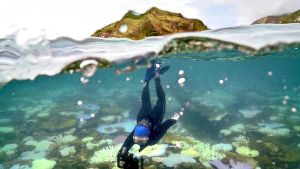 La ‘cassa di risonanza’, El Niño in arrivo: gli sconvolgimenti del clima