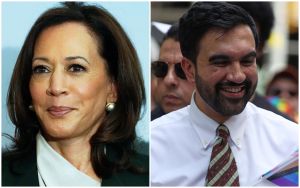 Report: Harris calls Mamdani, meets pro-Palestinian activists as she weighs 2028 bid