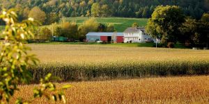Protecting Canada’s farmland requires a seat at the infrastructure table