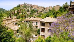 Quinze anys de patrimoni mundialde la Serra: orgull, compromís i futur