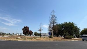 La rotonda