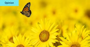 Beauty and its mysterious melancholic effect