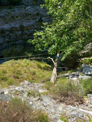 «Πρέπει να βγουν όλα εκτός λειτουργίας;»