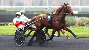 Mellow Speed e Ipomea, nuove star. I cavalli top protagonisti in Europa