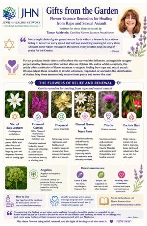 Flower Essences – Gentle Remedies for Healing from Rape and Sexual Assault