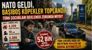 52 Bin Köpek NATO Öncesi Toplandı: Türk Çocukları Yıllarca Neden Risk Altında Kaldı?
