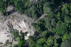 The Amazon is not just under environmental assault. It’s also increasingly under criminal control