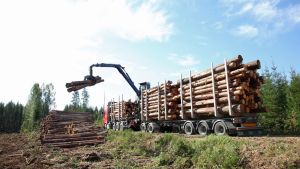 Puukauppa | Puumarkkinoiden kehittäminen kuuluu myös metsänomistajille