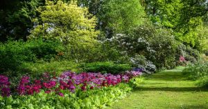 All of the secret gardens in Norfolk opening their gates in July