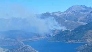 Alarma a un paso del Negrón por un gran incendio en el entorno del embalse de Barrios de Luna que cubre de humo la autopista Asturias-León