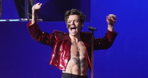 Adorable assistance dog steals the limelight at Harry Styles concert