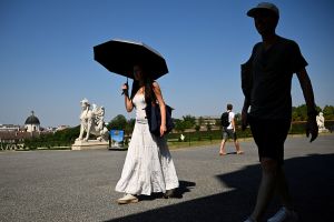 Bombay-Wetter in Wien