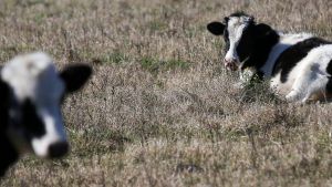 L'accord avec le Mercosur, je suis pour!, par Joseph Deiss