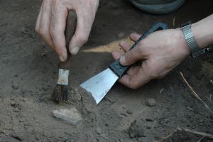 Обман, каналья! Эксперты не подтвердили, что найденные в Маастрихте останки принадлежат д'Артаньяну