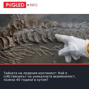 Тайната на ледения континент: Кой е собственикът на уникалната вкаменелост, пазена 40 години в кутия?