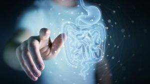 El estrés crónico podría alterar la microbiota intestinal, acelerar el envejecimiento del sistema inmunitario y debilitar las defensas