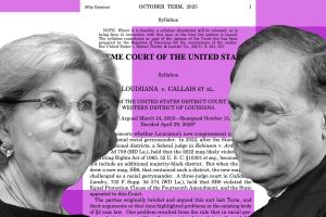 Nina Totenberg Made a Mistake. But the Reaction Reveals a Much Bigger Problem.