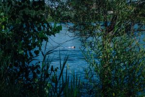 Je suis de lacs et de rivières