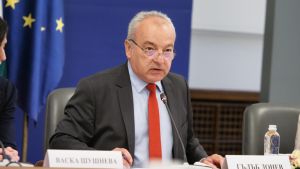 Замразеният бюджет: Доходи във фризера, но привилегиите за властта май остават