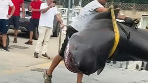 Squalo capopiatto, parola agli esperti: “Morto al largo, poi trascinato dalle correnti. Vivono fino a 1000 metri di profondità”