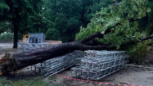 Alberi caduti e lamiere volate via: Treviso conta i danni del maltempo