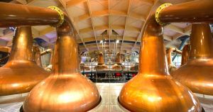 Inside Scotch whisky success story of profits and £421m for charity: a key ingredient
