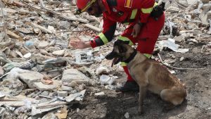 El sismo invisible: Sanar el alma de Venezuela