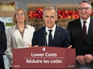 Tristin Hopper: Carney is releasing tons of 'strategic plans,' with few results